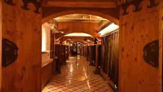 揭秘养生大师的贵阳夜生活：按摩背后的健康哲学，颠覆你的认知！