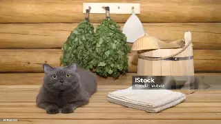 贵阳按摩养生馆：告别传统，拥抱科技！智能升级带来全新体验！