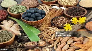 对话养生大师：揭秘行业发展趋势与创新之路 海报